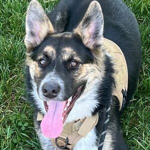 Meet your Posher, Tiffany